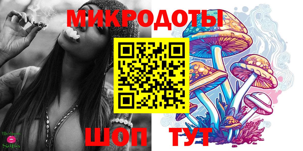 Кандалакша  Галлюциногенные грибы прущие грибы  Вход с VPN 